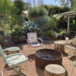 Michael Eason's desert garden retreat