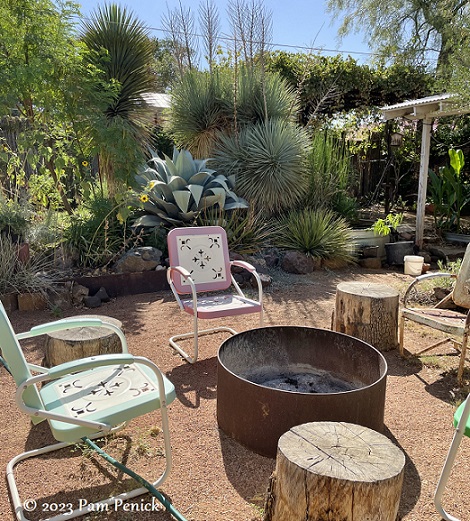 Michael Eason's desert garden retreat