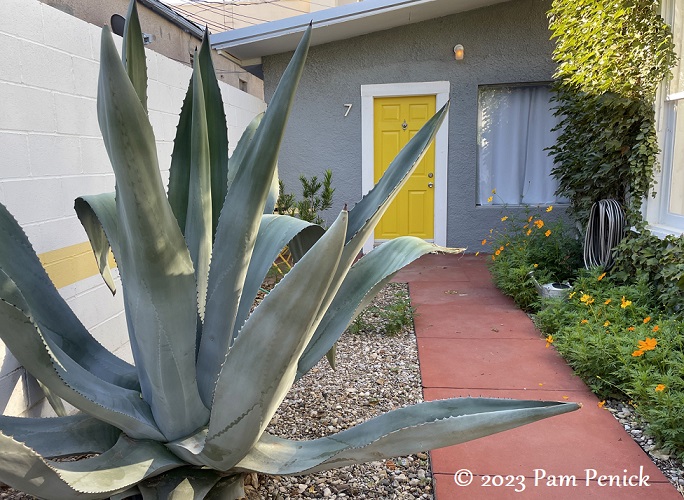 Happy, colorful courtyards at The Lincoln Marfa