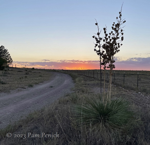 West Texas golden hour and sightseeing