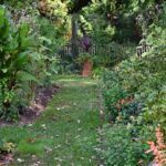 Early autumn at Hedgleigh Spring garden