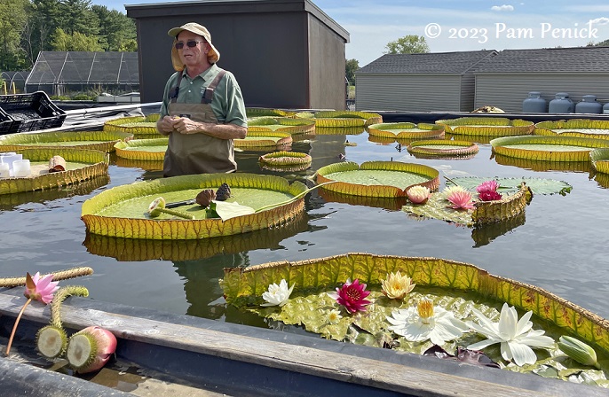Behind-the-scenes tour at Longwood Gardens plant-production facility