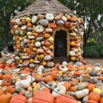 Pumpkin season at the Dallas Arboretum