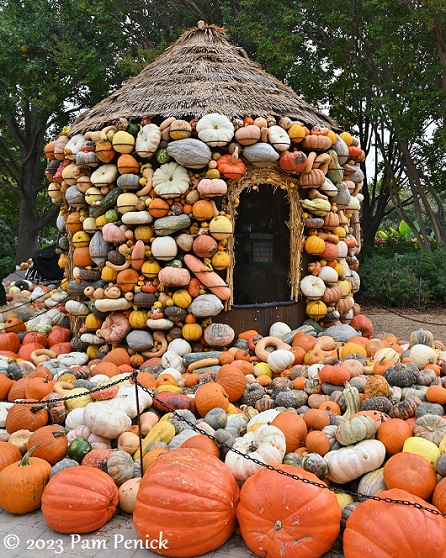Pumpkin season at the Dallas Arboretum