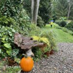 Homey fall garden at Brandywine Cottage