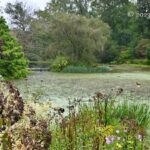Bamboo forest and pond gardens at WynEden
