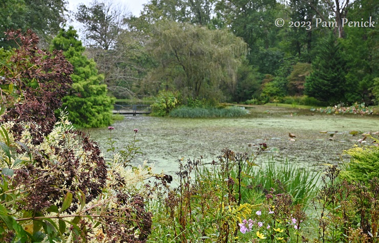 Bamboo forest and pond gardens at WynEden