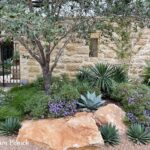 Christy Ten Eyck-led tour of San Antonio garden