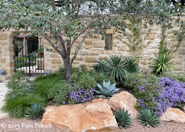 Christy Ten Eyck-led tour of San Antonio garden