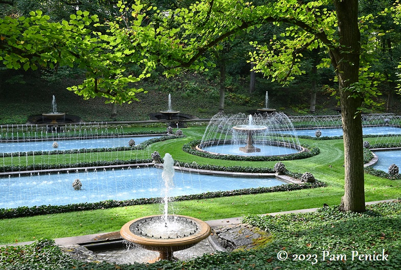 Hillside Garden  Longwood Gardens