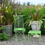 Tropical terraces, color, and meadow at Owl Creek Farm