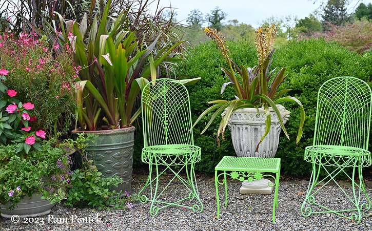 Tropical terraces, color, and meadow at Owl Creek Farm