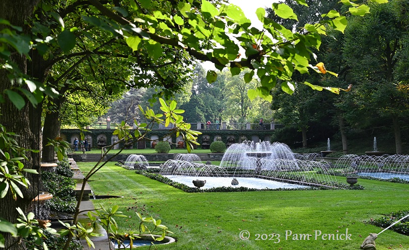Italian Water Garden, trees, and treehouses at Longwood Gardens