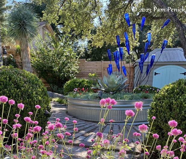 October blooms brighten my garden