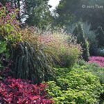 Flamboyant flower borders and containers at Longwood Gardens