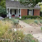 Jay's front-yard garden of native plants in Dallas