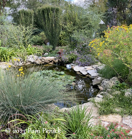 Colleen Belk's Old Austin garden