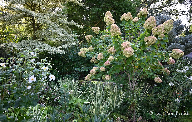 Serving up Chanticleer's Tennis Court Garden