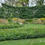 Exploring Chanticleer's Elevated Walkway, Serpentine, and Bulb Meadow