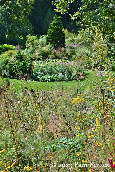 06 Gravel Garden view of pond