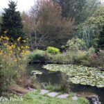 Wading into Chanticleer's Pond Garden