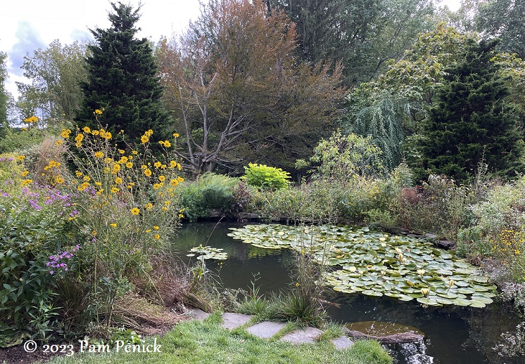 Wading into Chanticleer's Pond Garden