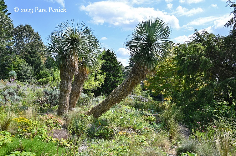 Rocking a dry garden at Chanticleer’s Gravel Garden