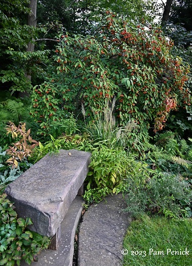 21 Stone bench Berrying shrub 1