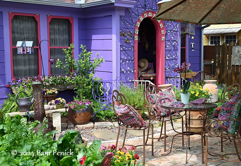 Lucinda's purple-heart home and garden