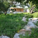 "It's what was here": A prairie garden grows near downtown Austin