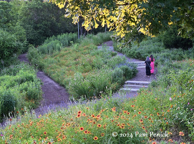 Prairie wildflower oasis at Native Texas Park in Dallas