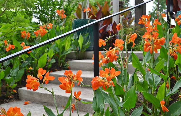 Tanglewild Gardens merges passion for daylilies with tropical wow factor