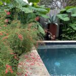 After derecho devastation, a garden blazes beautifully