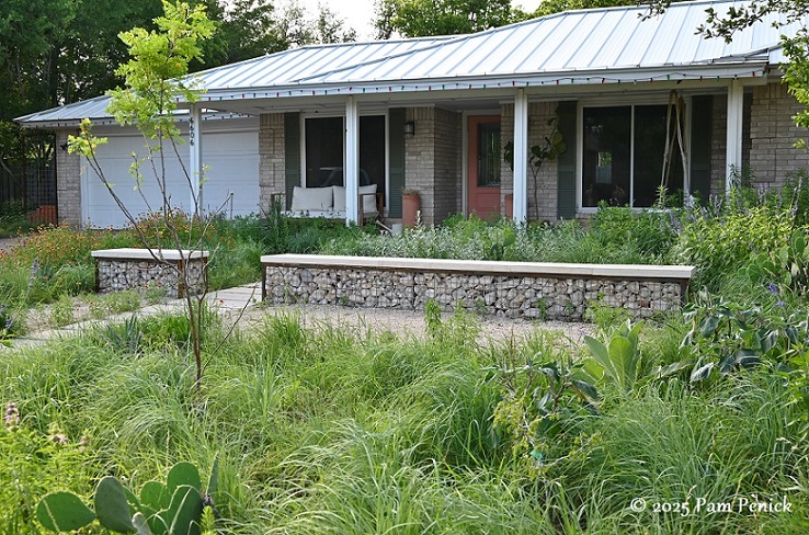 Lawn-free prairie garden of Native Son's Danny Bravens